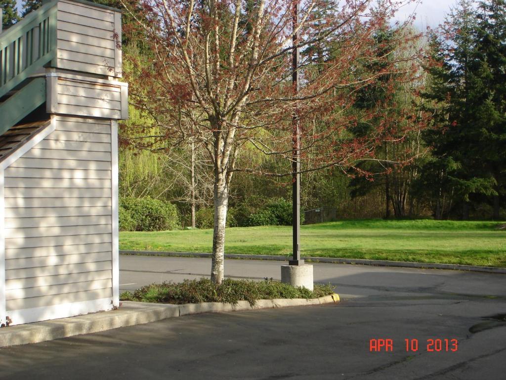 Quality & Bainbridge Island